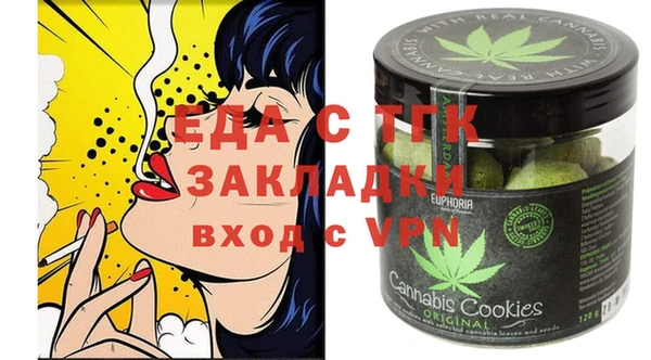 хмурый Аркадак