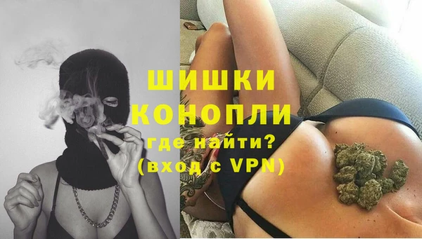 хмурый Аркадак