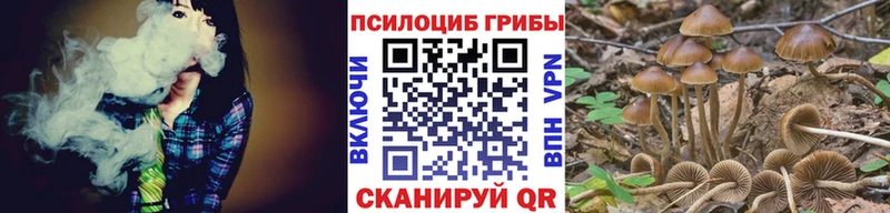 Галлюциногенные грибы прущие грибы  Спасск-Дальний 