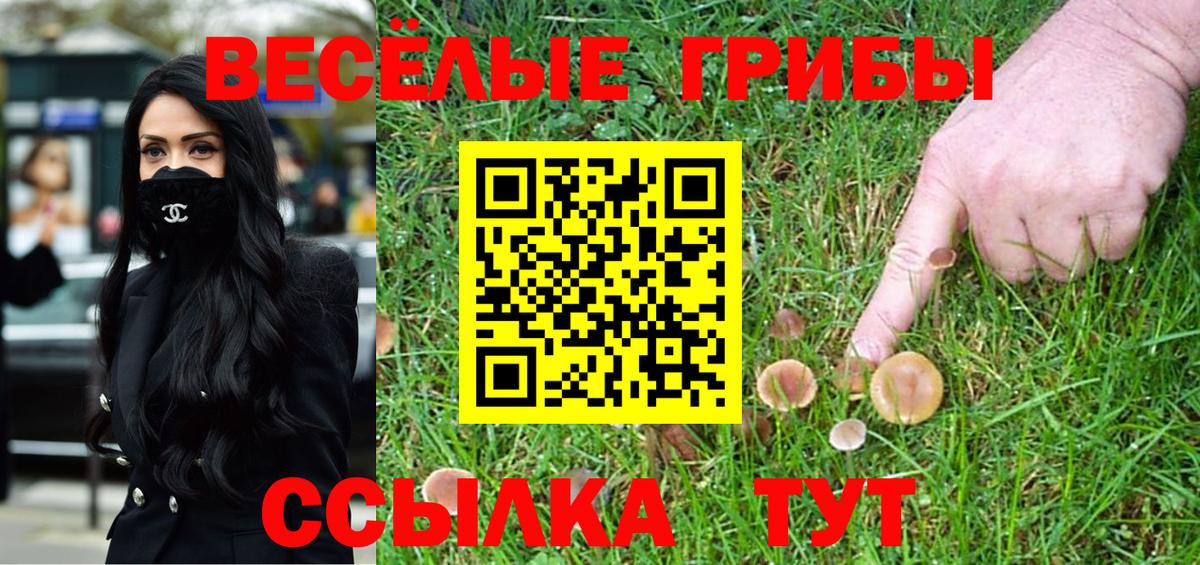 Спасск-Дальний  Псилоцибиновые грибы MAGIC MUSHROOMS  Вход с VPN 